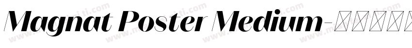 Magnat Poster Medium字体转换
